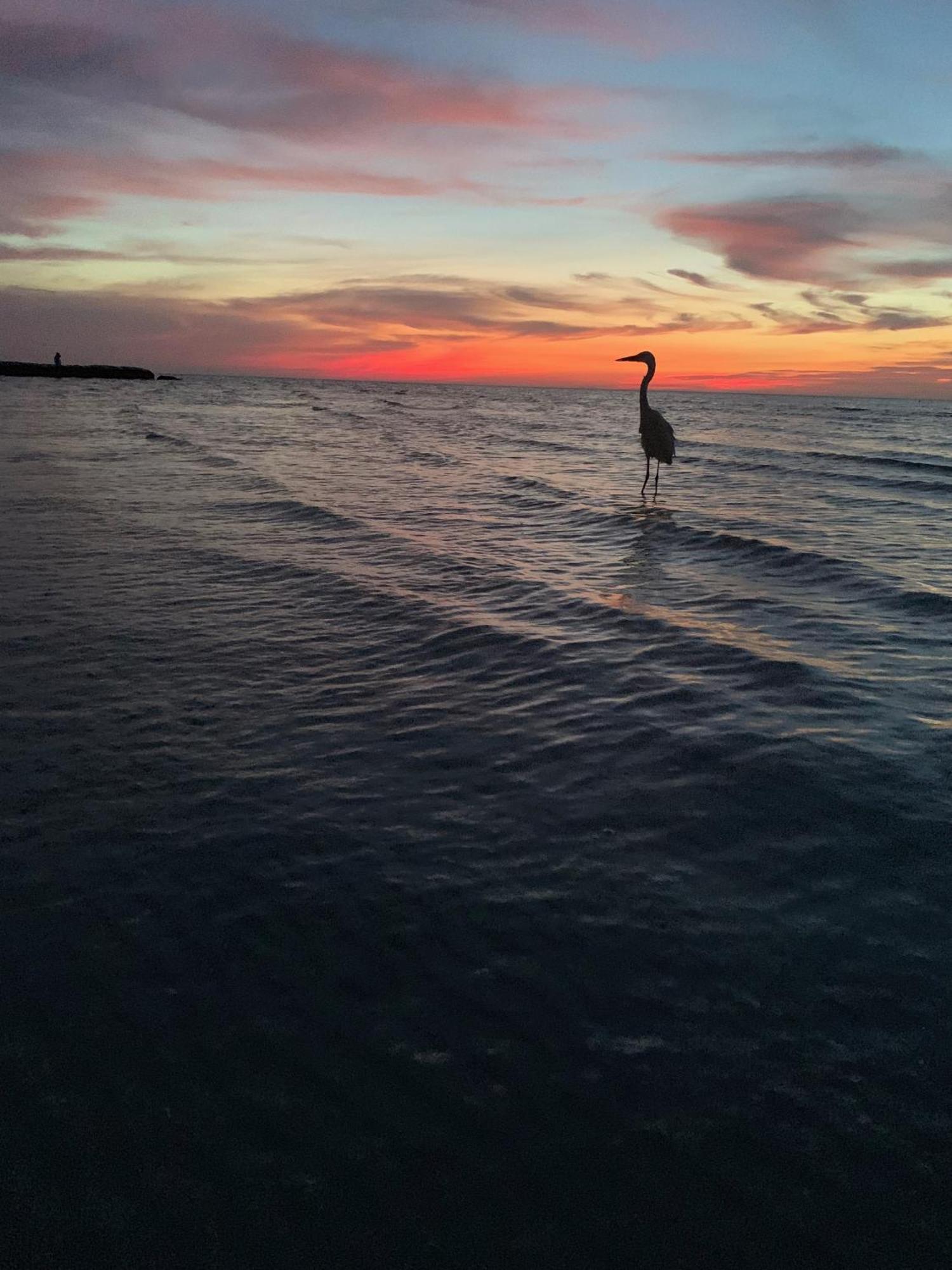 Bed and Breakfast Casa Noma-Noma Holbox Esterno foto